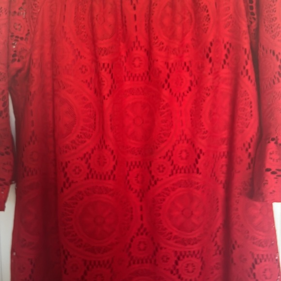 Rabbit Rabbit Rabbit red lace shift dress - Picture 6 of 10